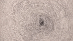 giuseppe penone propogazione2